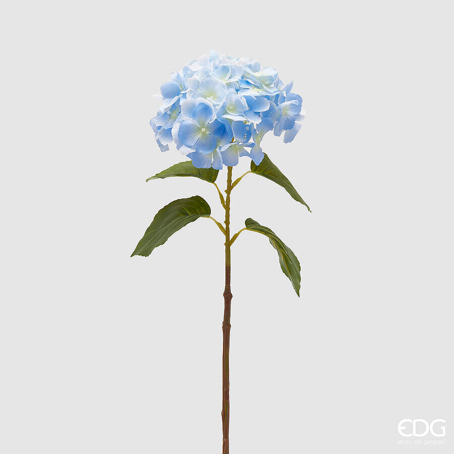 EDG -Ortensia nobile new rosa o blu