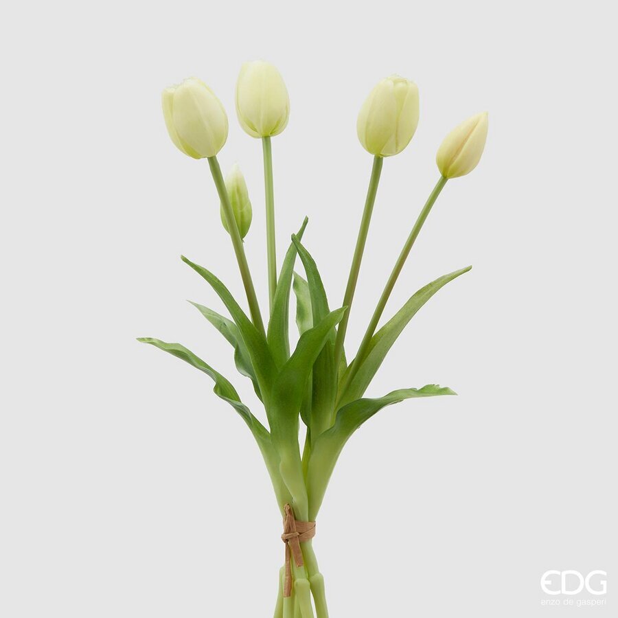EDG - tulipani mazzo 5 pz