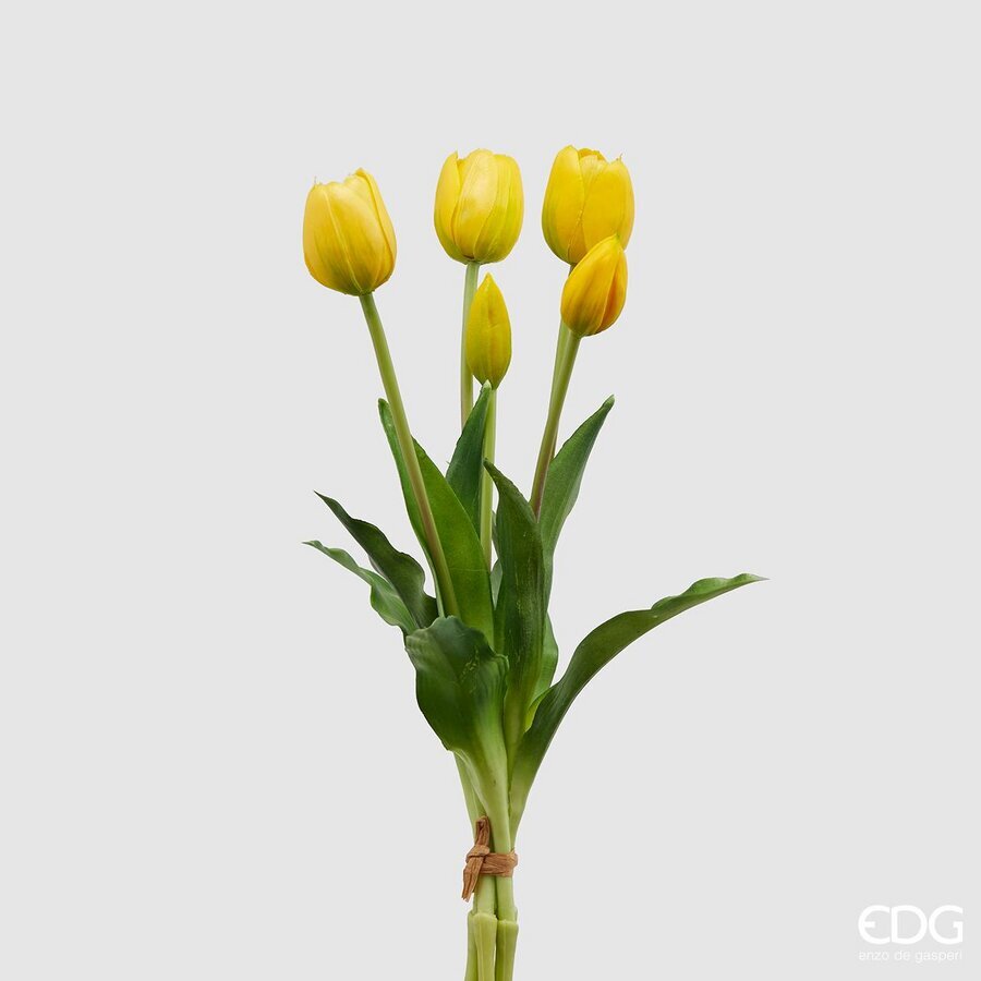 EDG - tulipani mazzo 5 pz