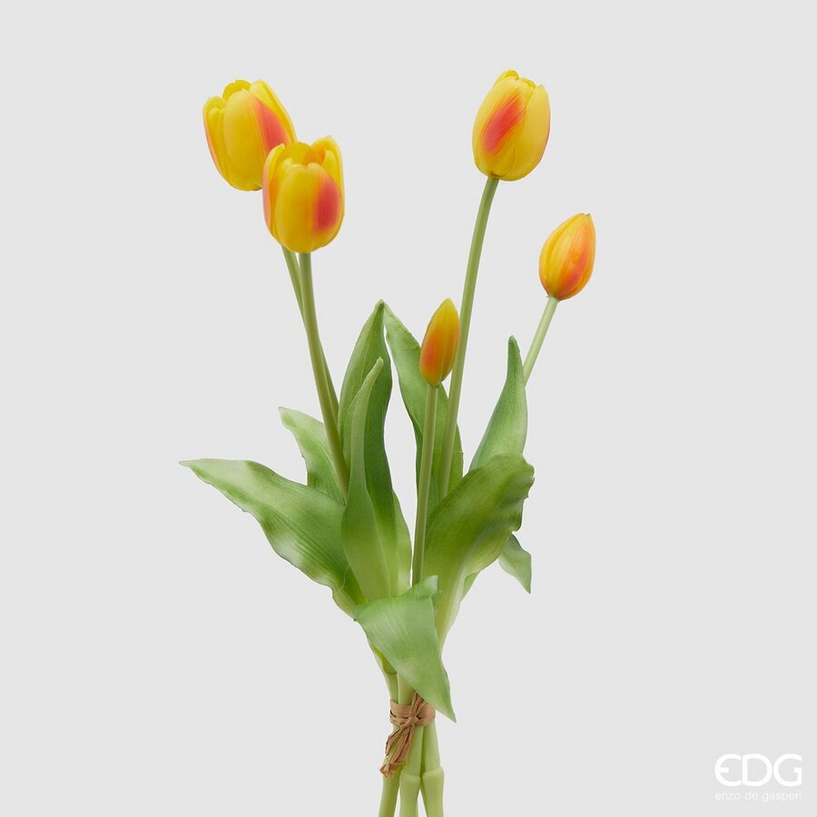 EDG - tulipani mazzo 5 pz