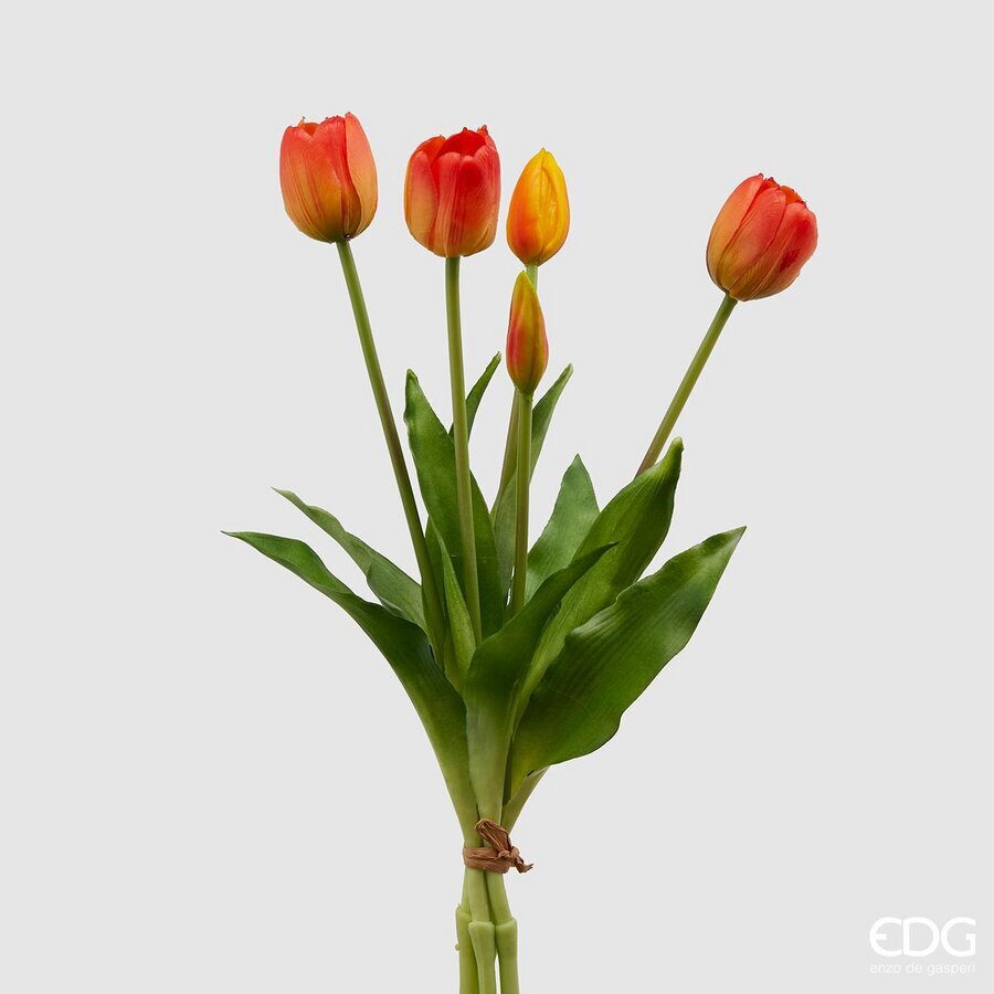 EDG - tulipani mazzo 5 pz