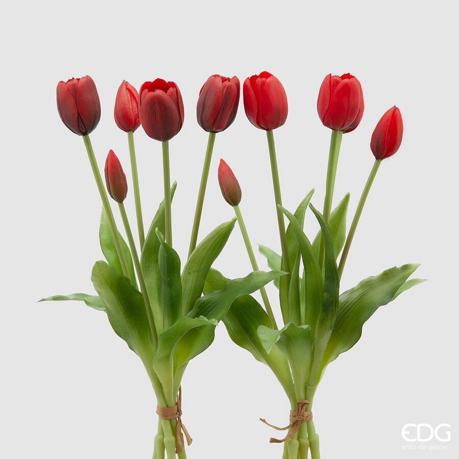 EDG - tulipani mazzo 5 pz