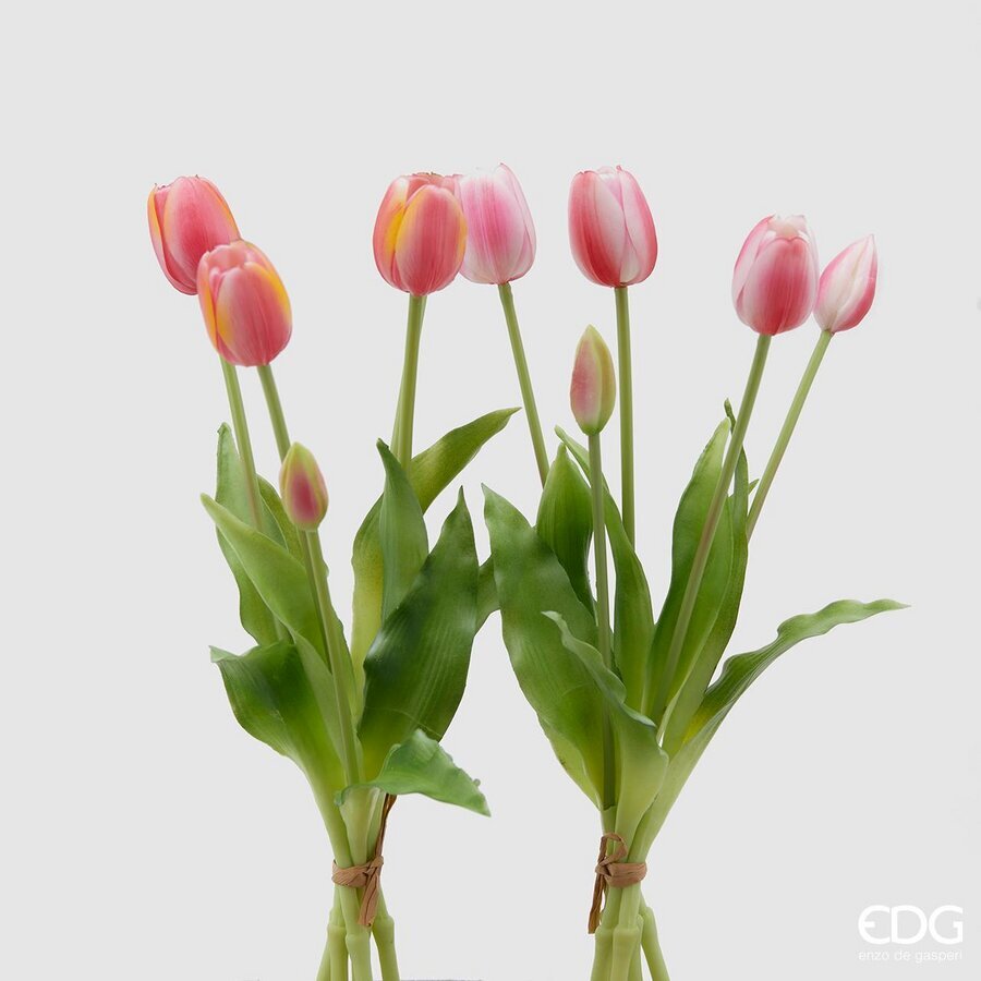 EDG - tulipani mazzo 5 pz