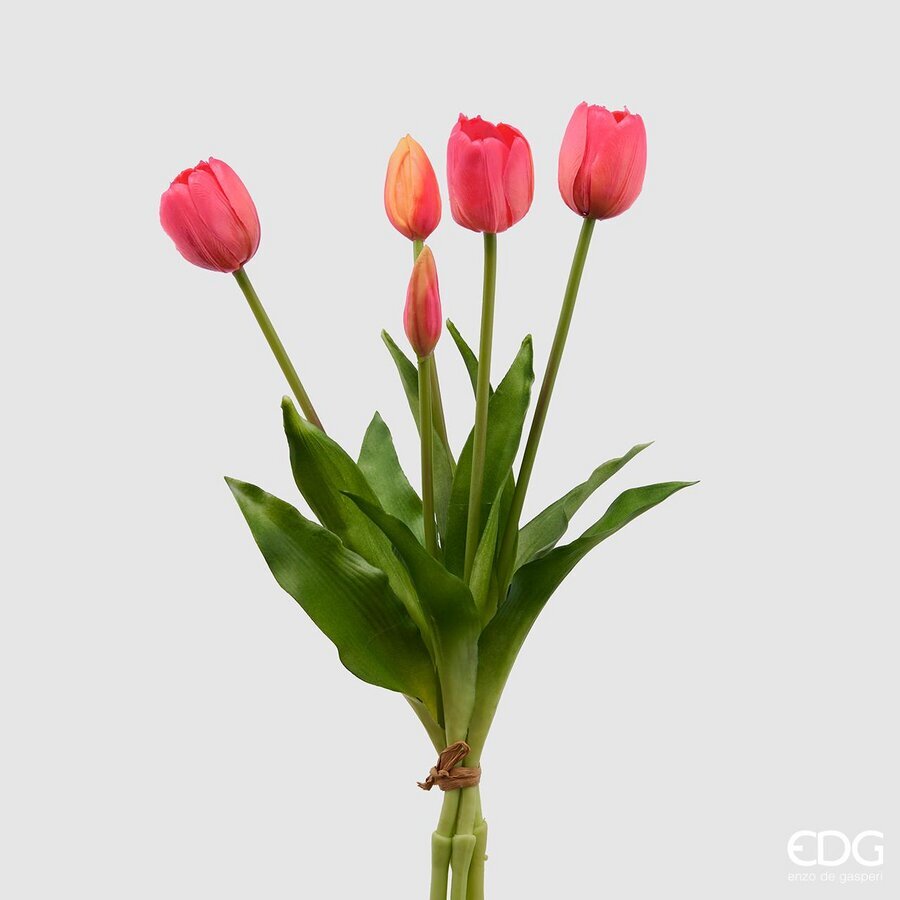 EDG - tulipani mazzo 5 pz