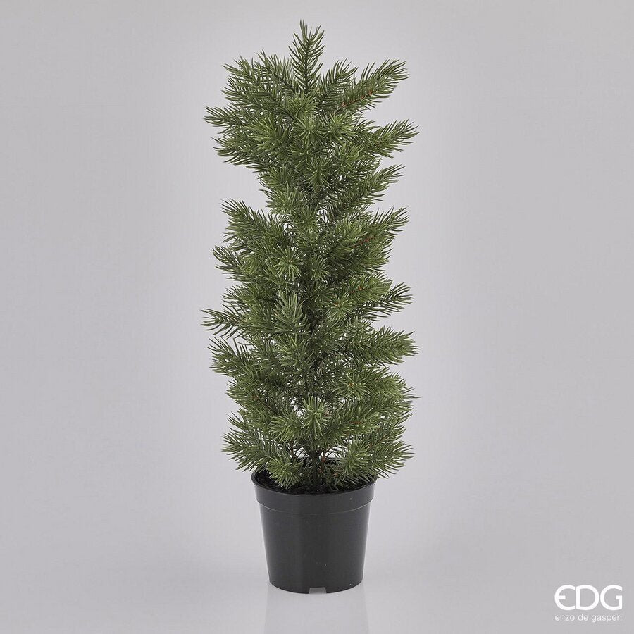 EDG -pino con vaso