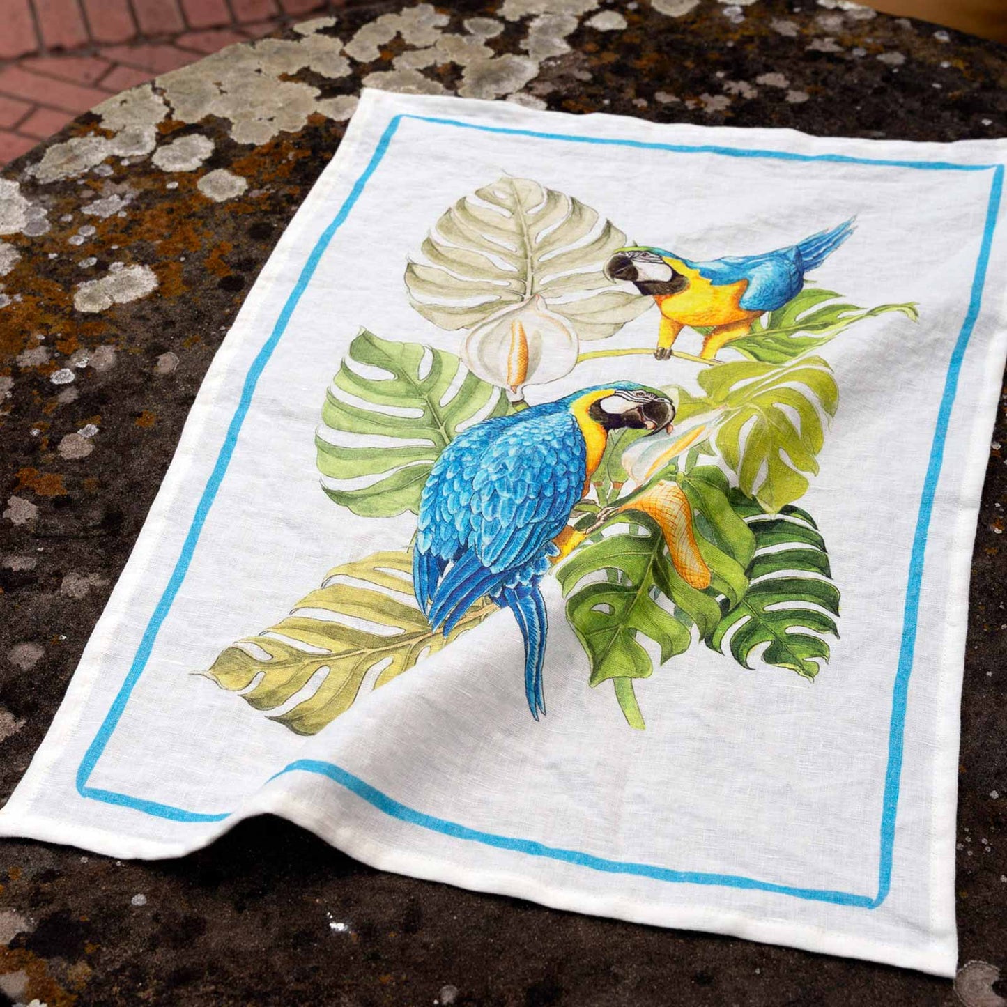 Tessitura toscana telerie -Asciughino Ara