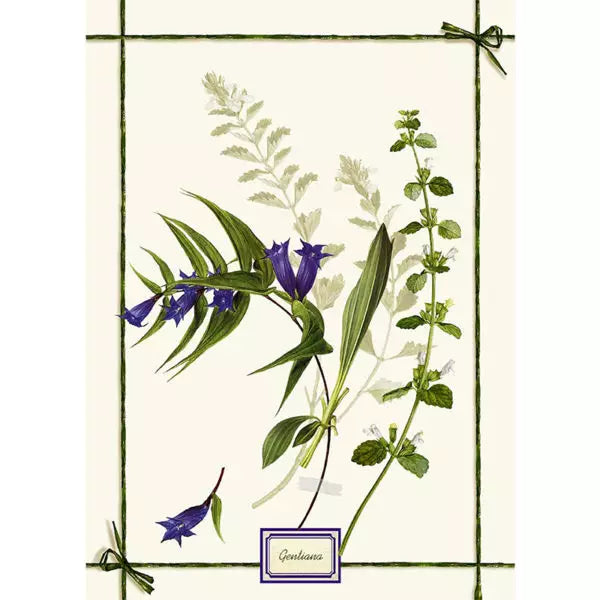 Tessitura toscana telerie -Asciughino Fragrance