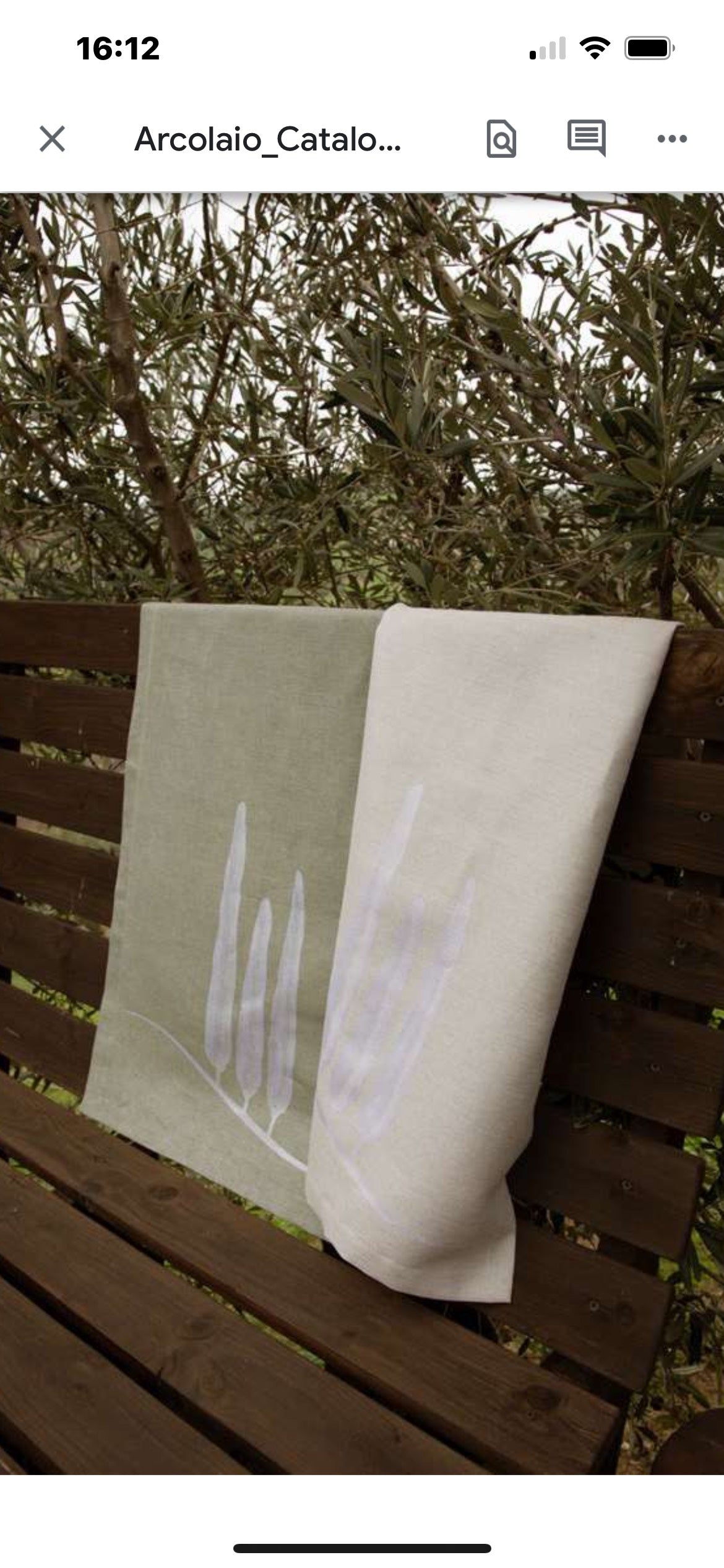 Arcolaio - cipresso Runner