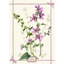 Tessitura toscana telerie -Asciughino Fragrance