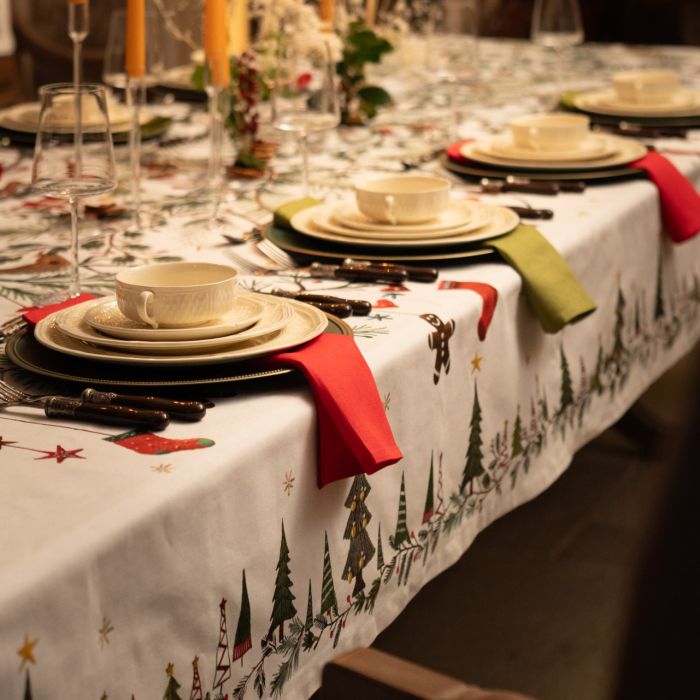 Tessitura toscana telerie -Asciughino rudy