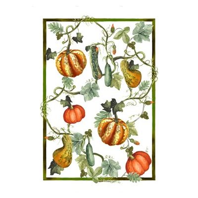 Tessitura toscana telerie - Canovaccio  Kurbis