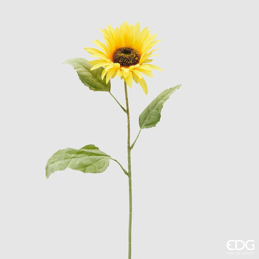 EDG -Girasole