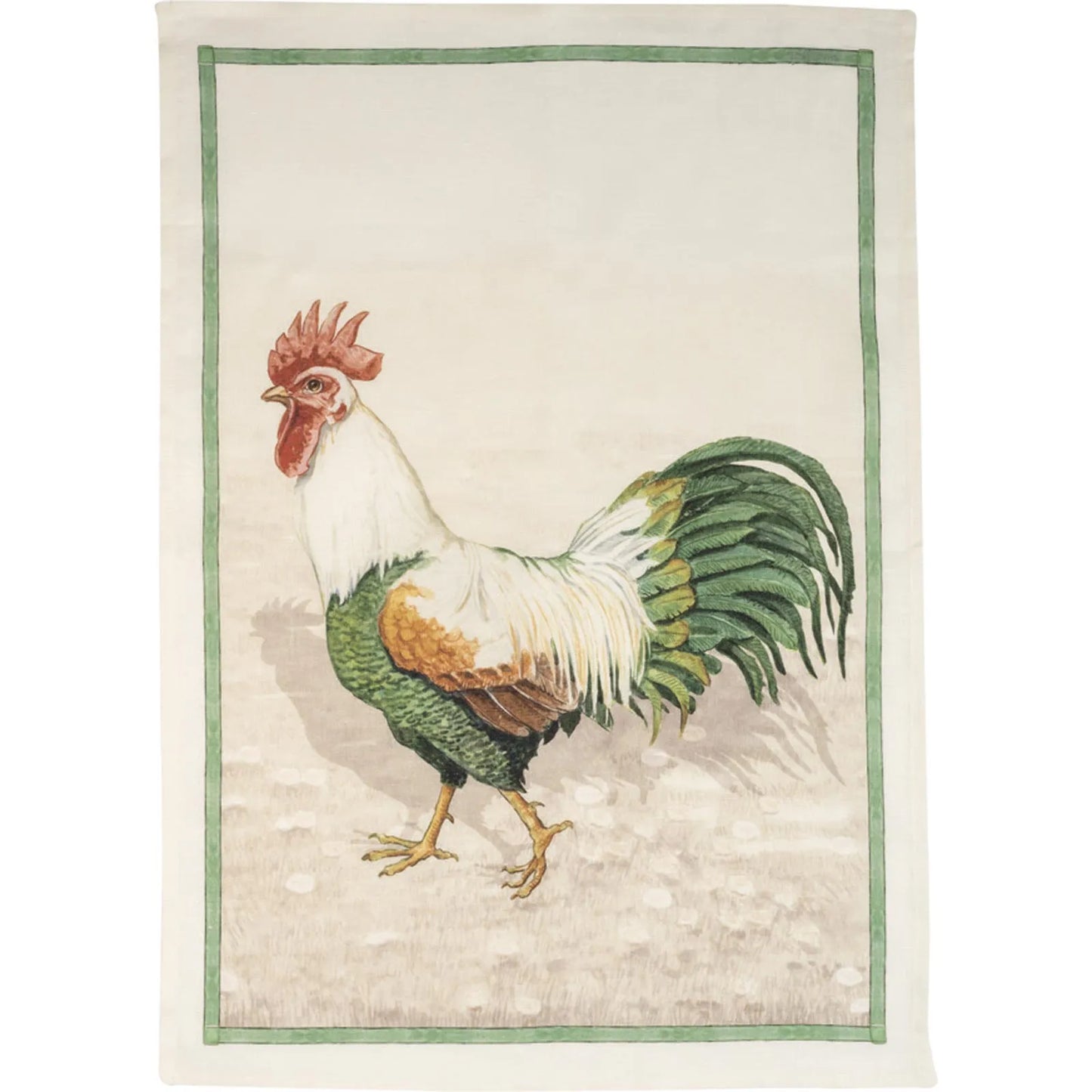 Asciughino Rooster